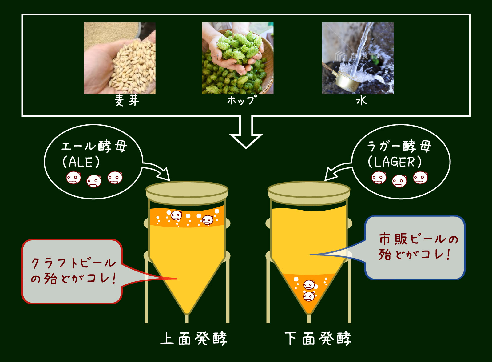 週末ご褒美にナギサビールを飲む時の選び方