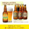  「みかんエール」と選べる飲み比べセット　10本入り